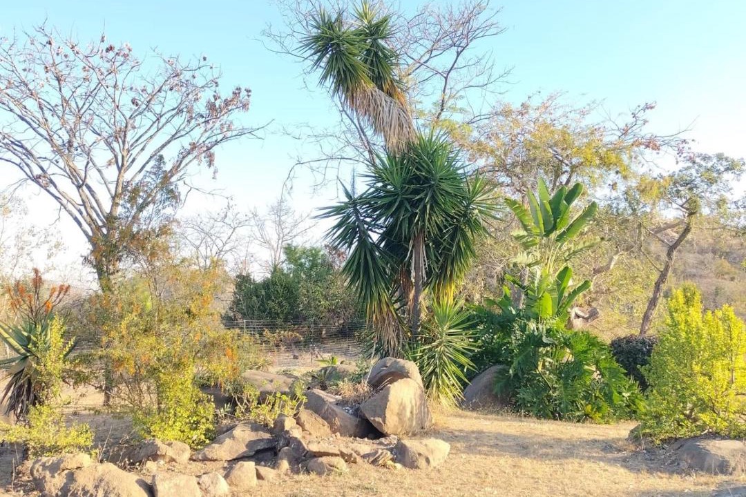 Photo of Outdoor in Nelspruit