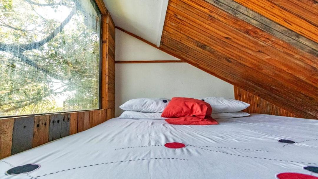 Photo of Bedroom in Port Alfred