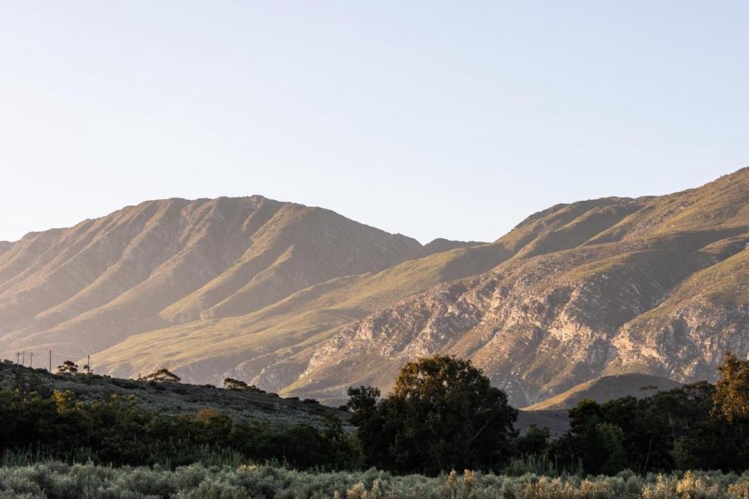 Photo of Others in Swellendam