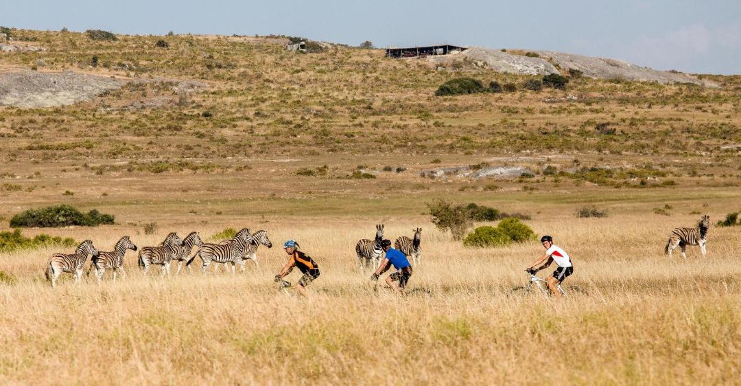 Photo of Others in Yzerfontein