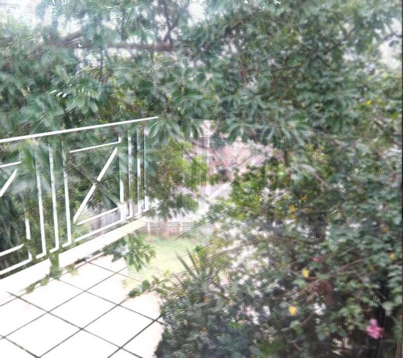 Photo of Others in Musgrave