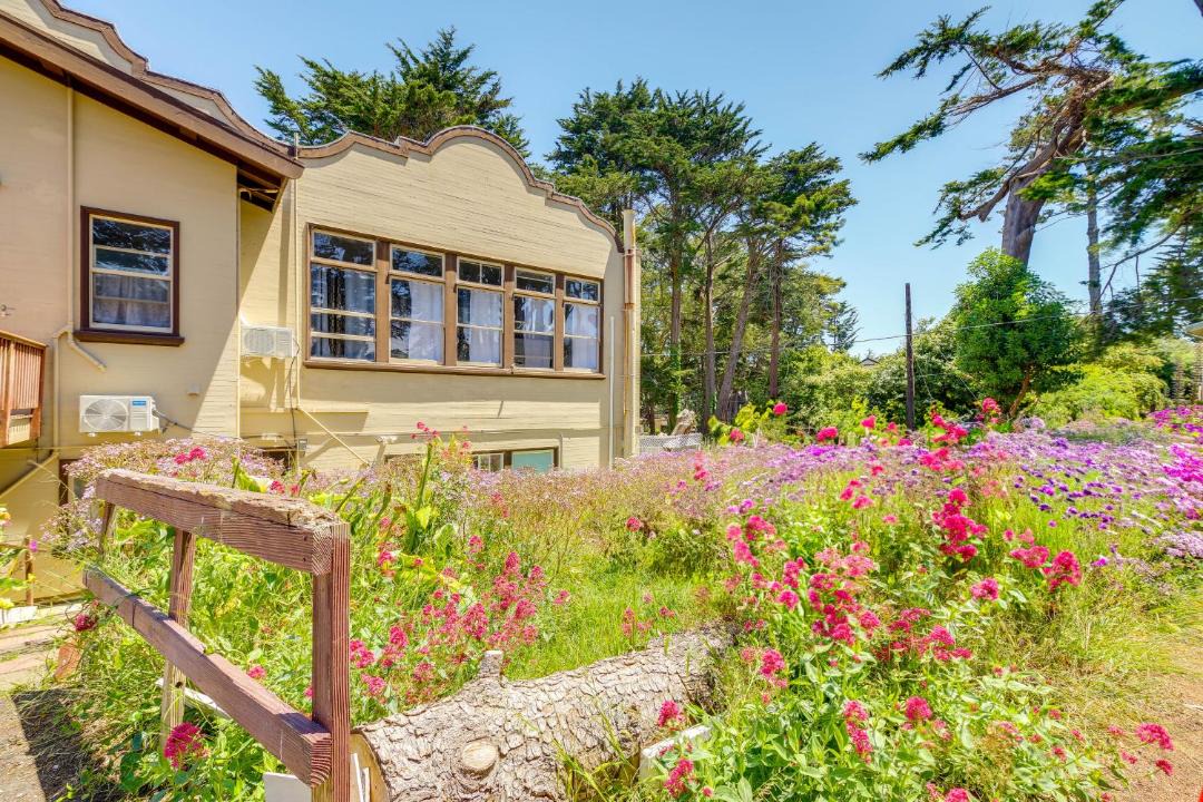 Photo of Others in Montara