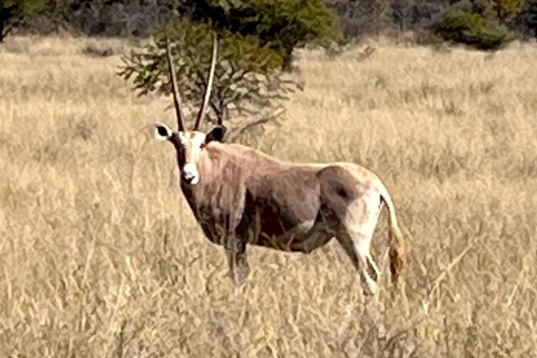 Photo of Others in Kgetlengrivier