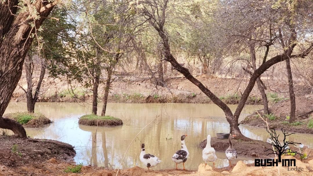 Photo of Others in Lephalale