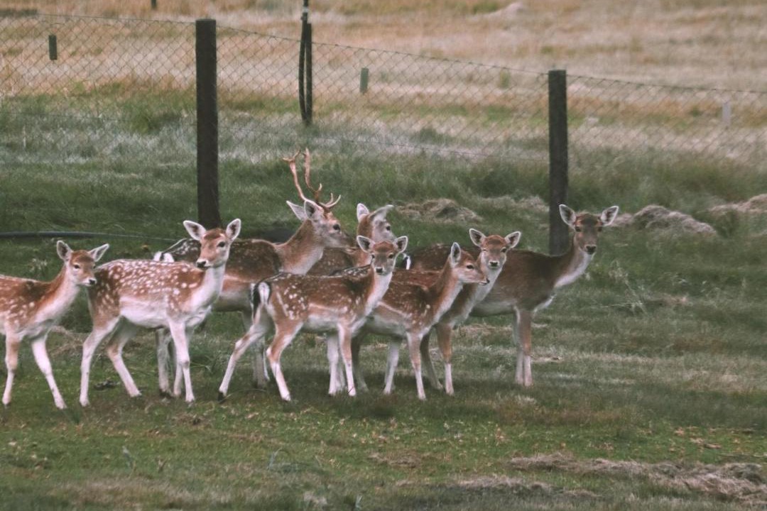 Photo of Others in Bot River