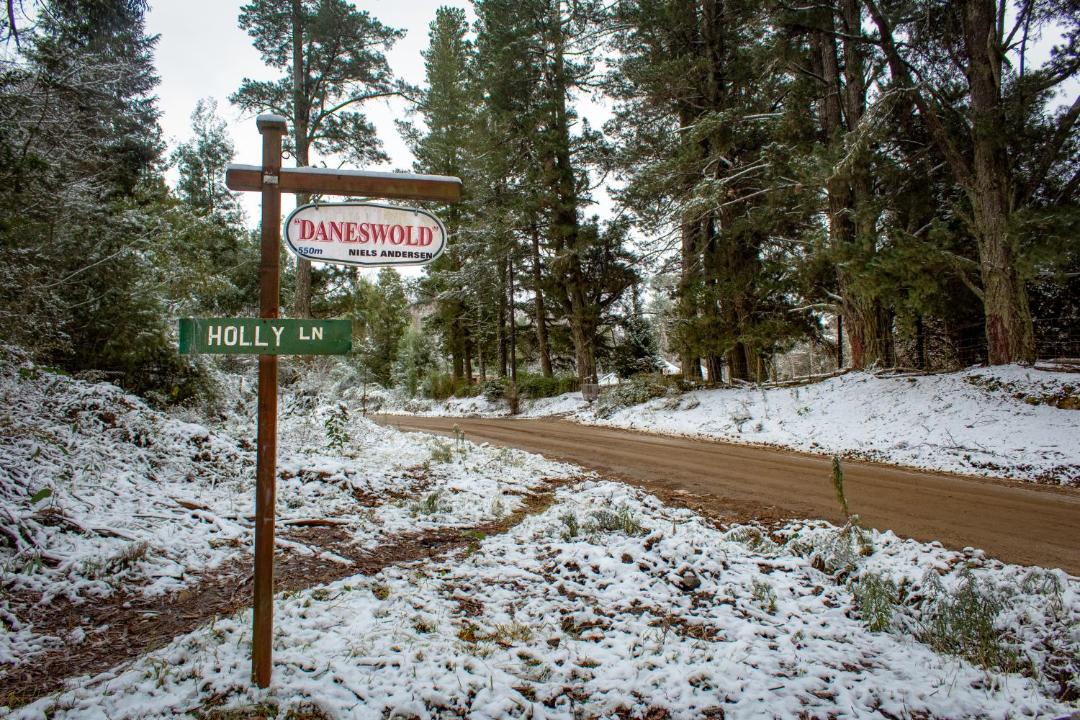 Photo of Others in Hogsback