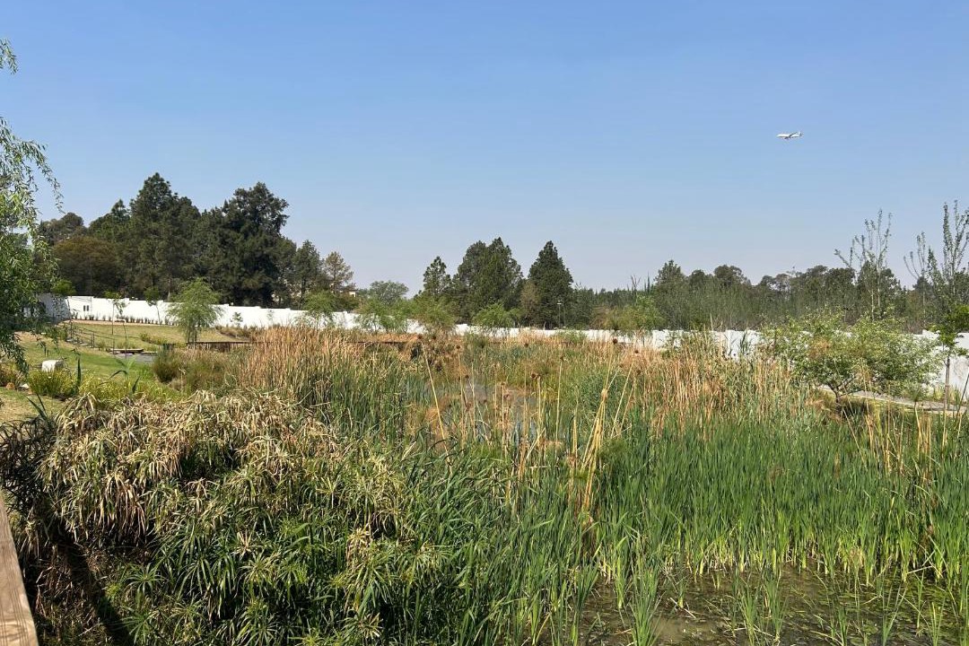 Photo of Outdoor in Boksburg