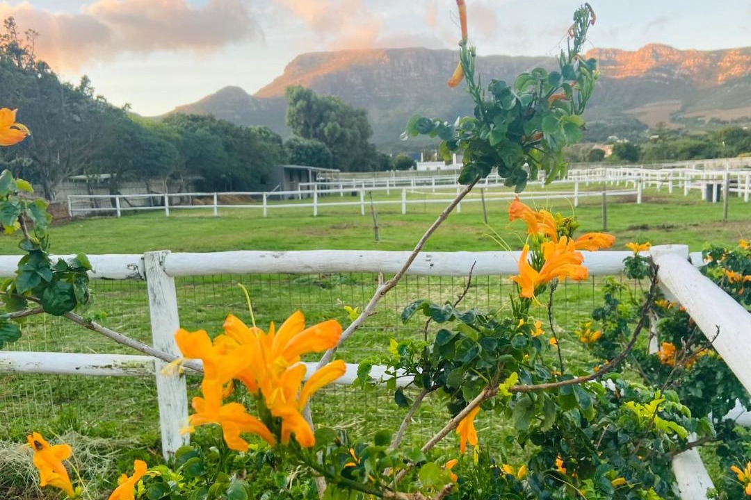 Photo of Outdoor in Noordhoek