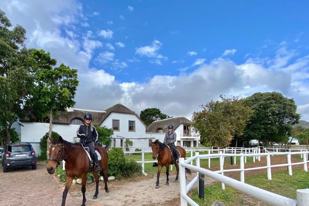 Photo of Others in Noordhoek