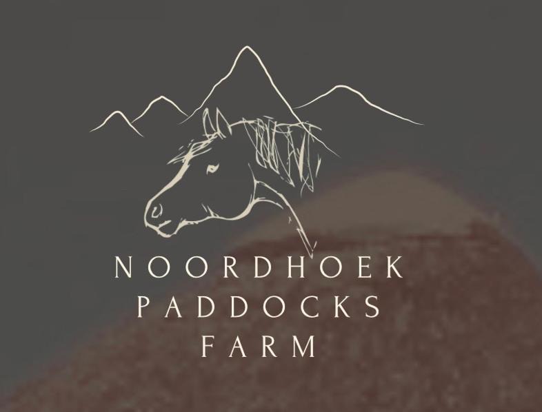 Photo of Others in Noordhoek
