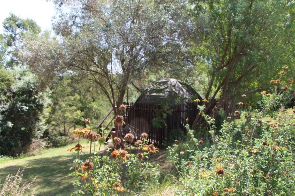 Photo of Others in Scheepersrus