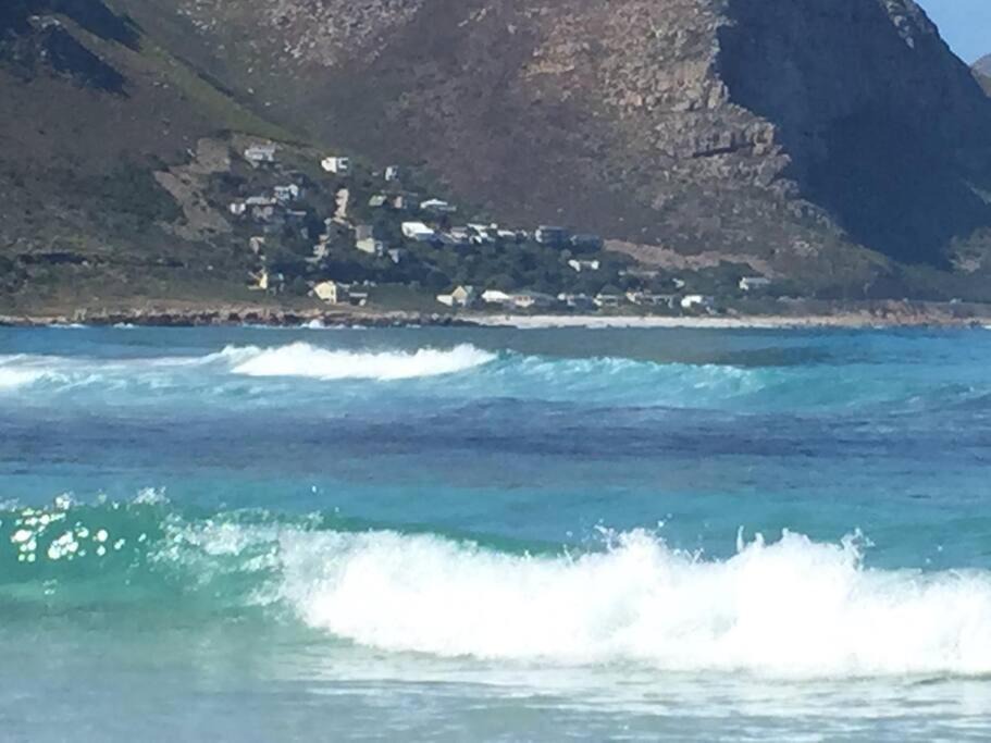 Photo of Others in Cape Peninsula