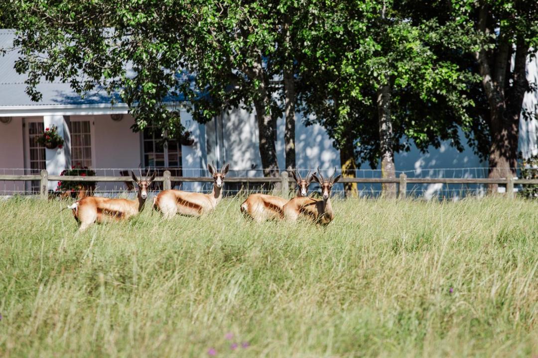 Photo of Others in Raithby