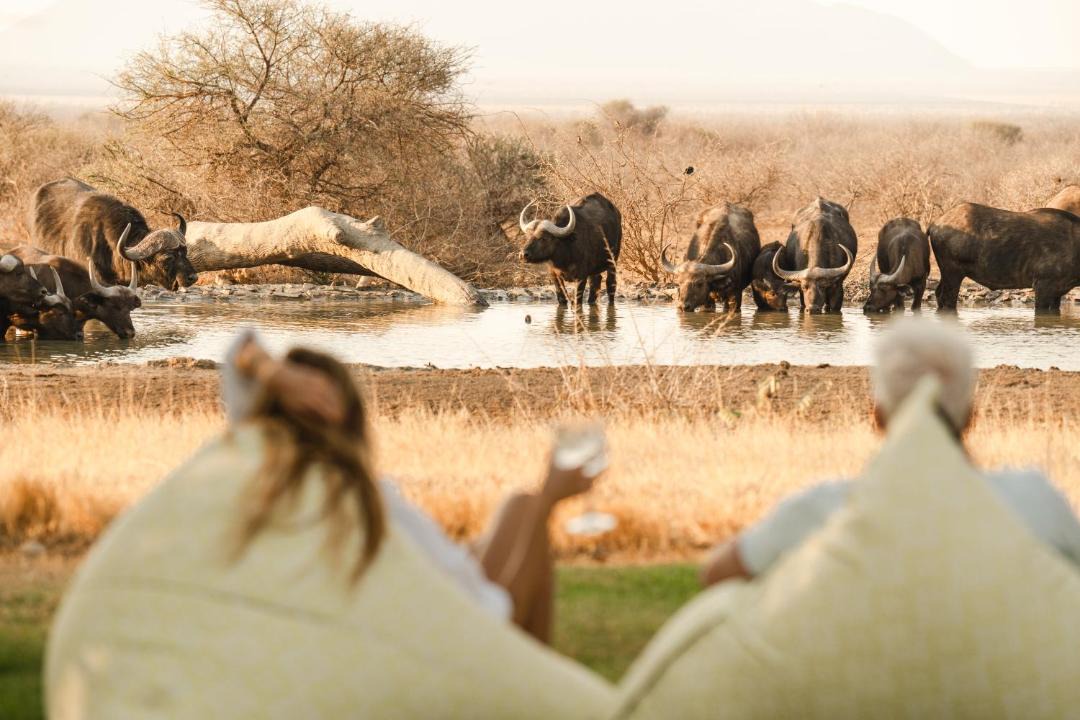Photo of Others in Madikwe Game Reserve