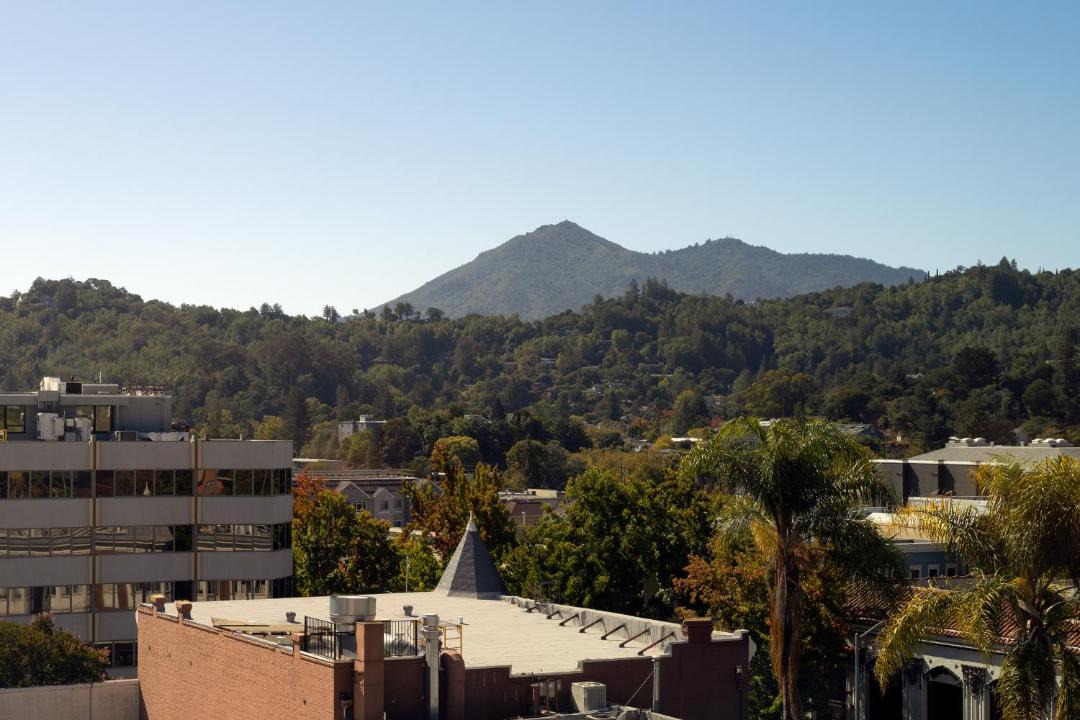 Photo of Others in San Rafael