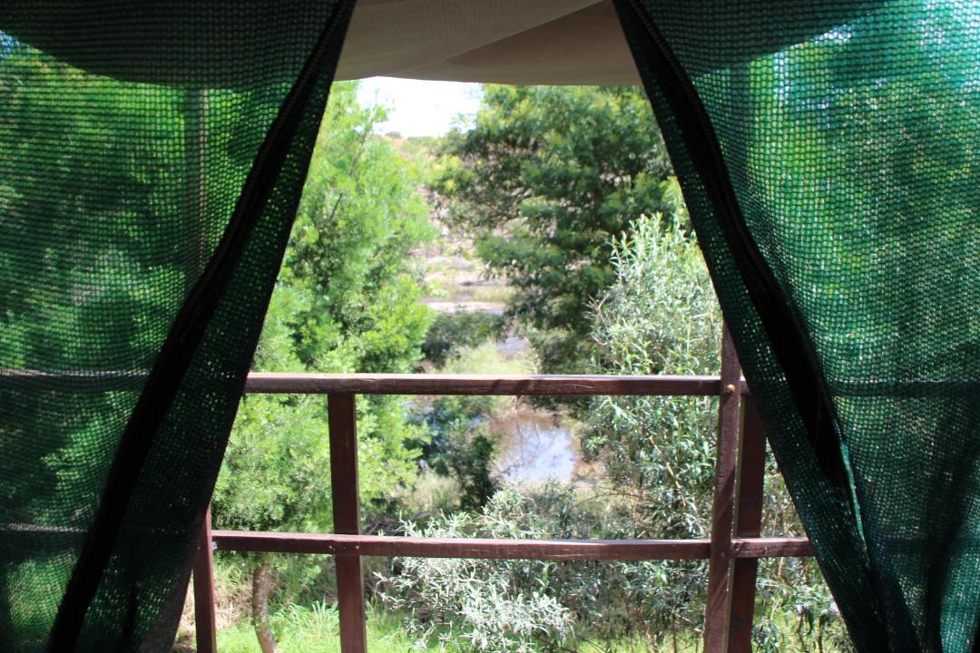 Photo of Patio Balcony in Scheepersrus