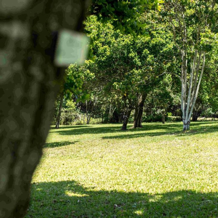 Photo of Others in Kloof