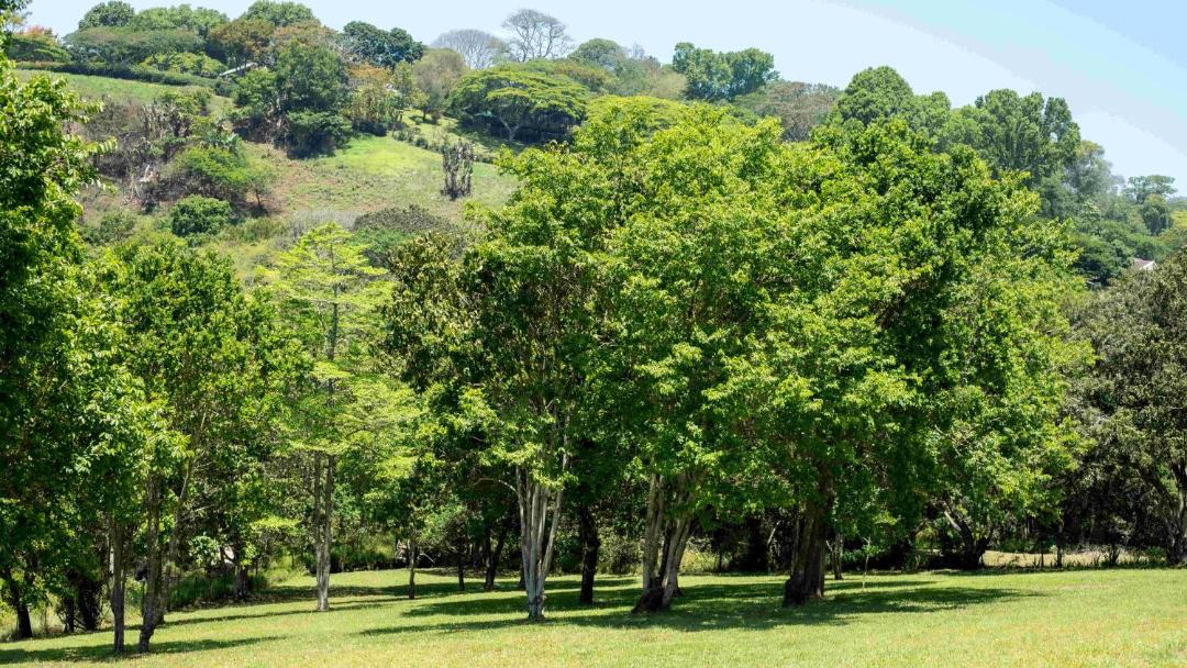 Photo of Others in Kloof