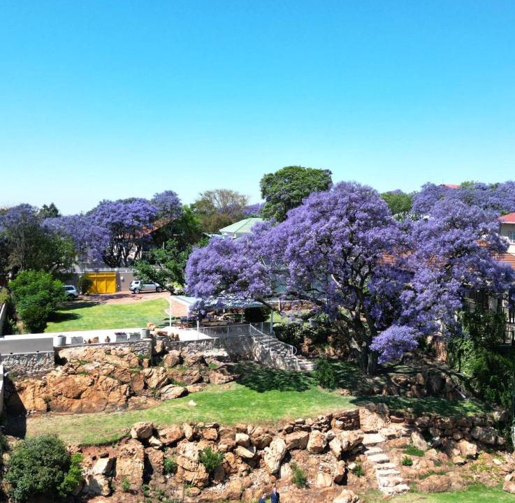 Photo of Others in Greater Johannesburg Metropolitan Area