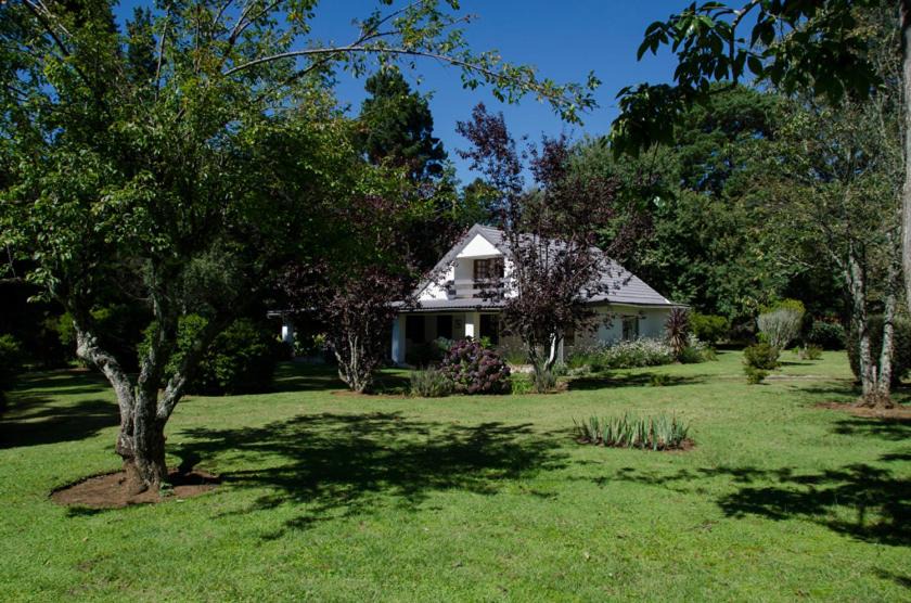 Photo of Others in Hogsback