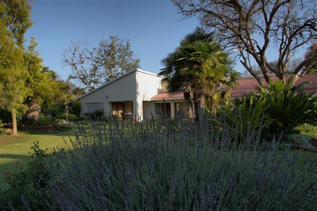 Photo of Others in Polokwane