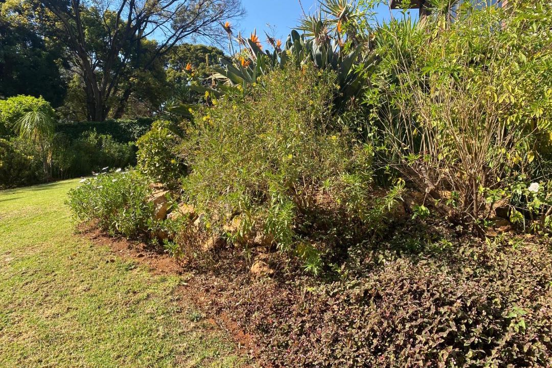 Photo of Outdoor in Pretoria