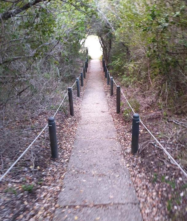 Photo of Others in Nature's Valley