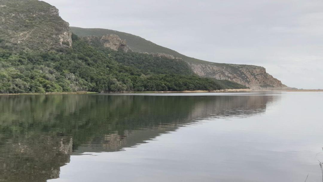 Photo of Others in Nature's Valley