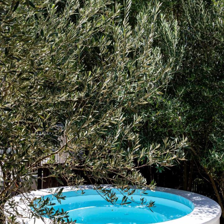 Photo of Outdoor in Riebeek Kasteel
