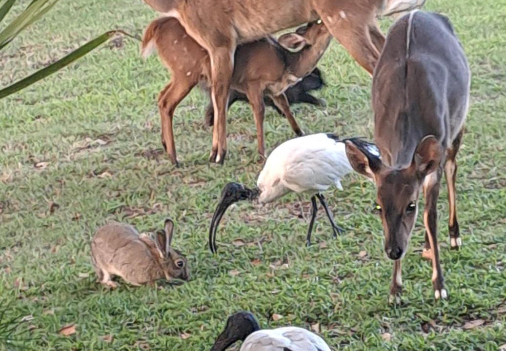 Photo of Others in Brenton-on-Sea
