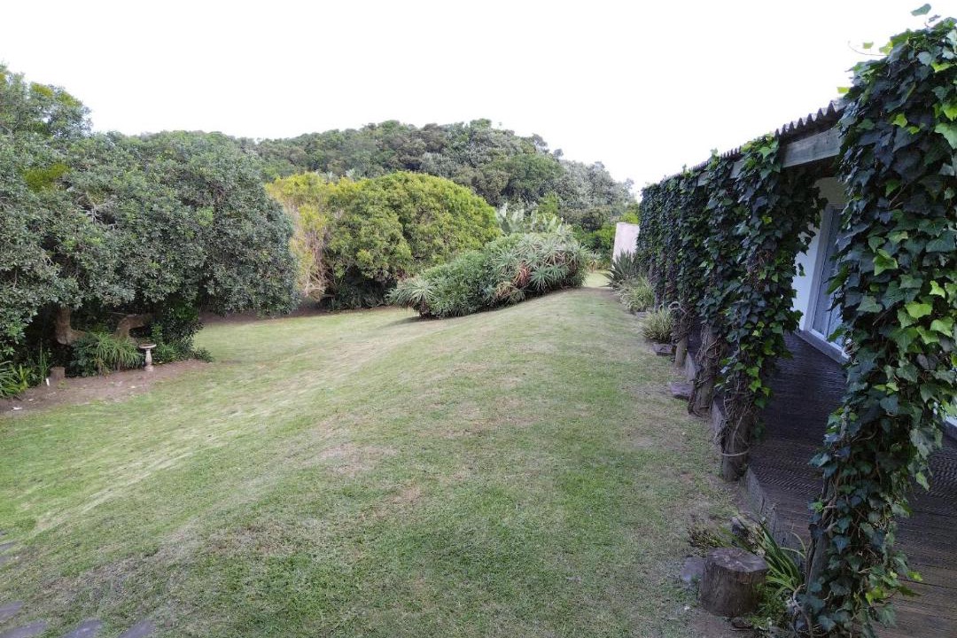 Photo of Others in Amatola Coastal