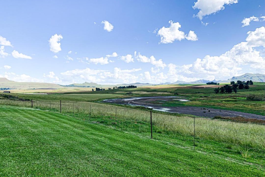 Photo of Others in Drakensberg Gardens