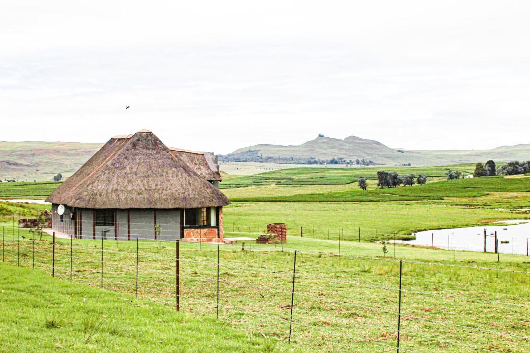 Photo of Others in Drakensberg Gardens