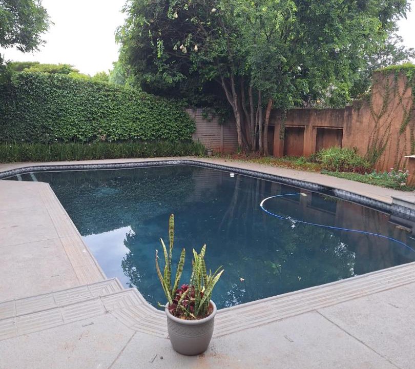 Photo of Outdoor in Lyttelton Manor