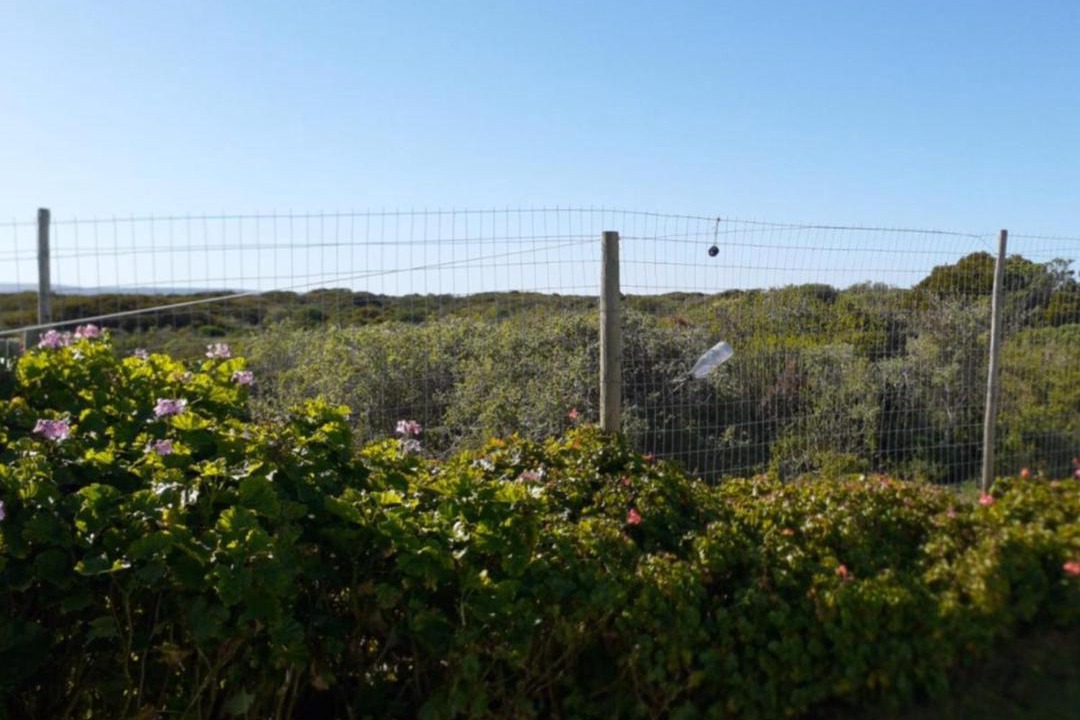 Photo of Others in Yzerfontein