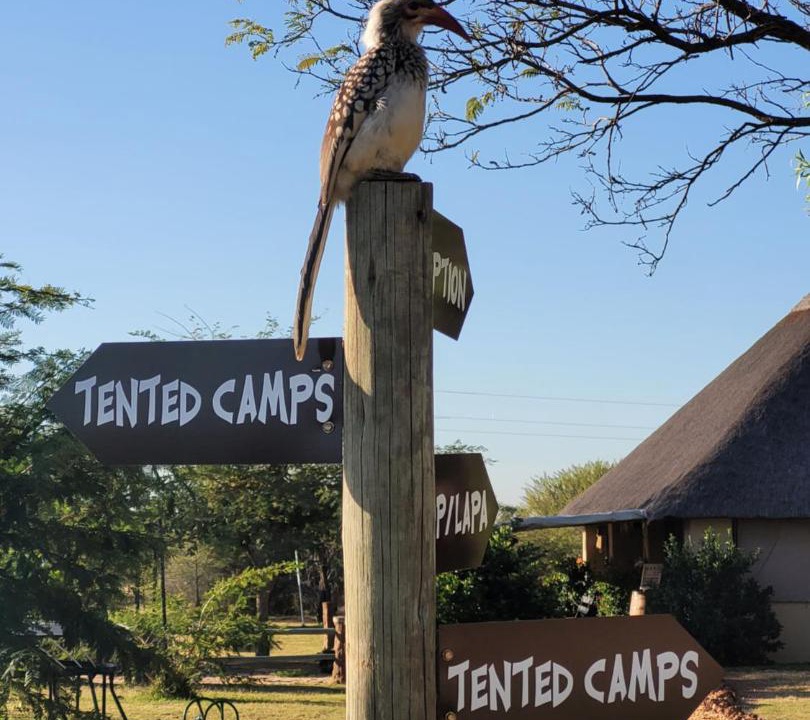 Photo of Others in Hammanskraal