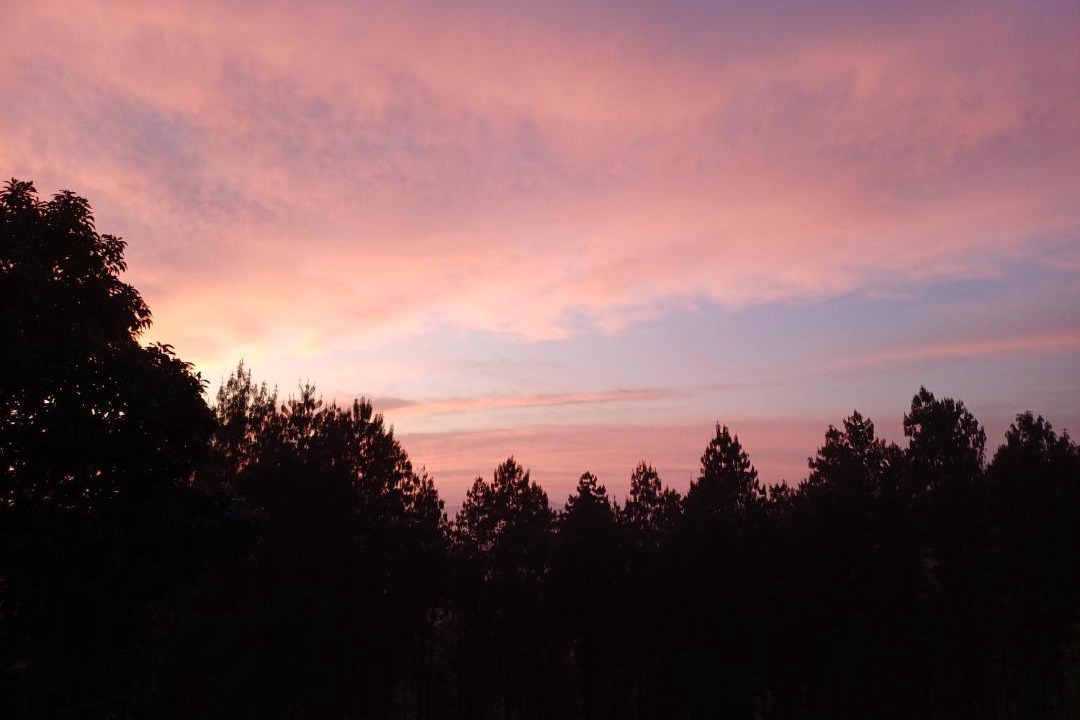 Photo of Outdoor in Haenertsburg