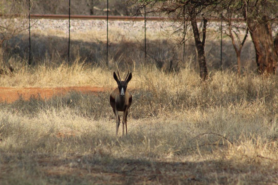 Photo of Others in Thabazimbi