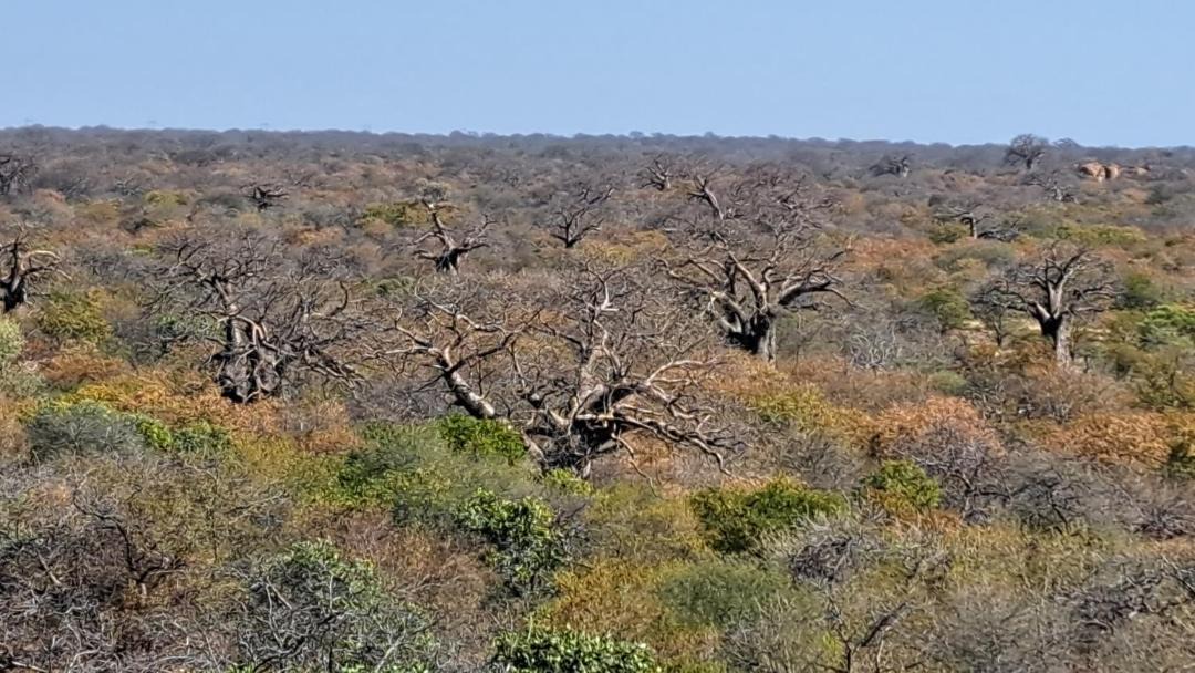 Photo of Others in Musina