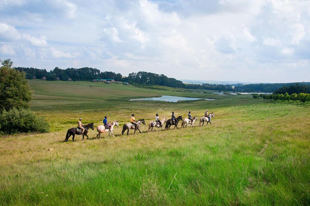Photo of Others in Dullstroom