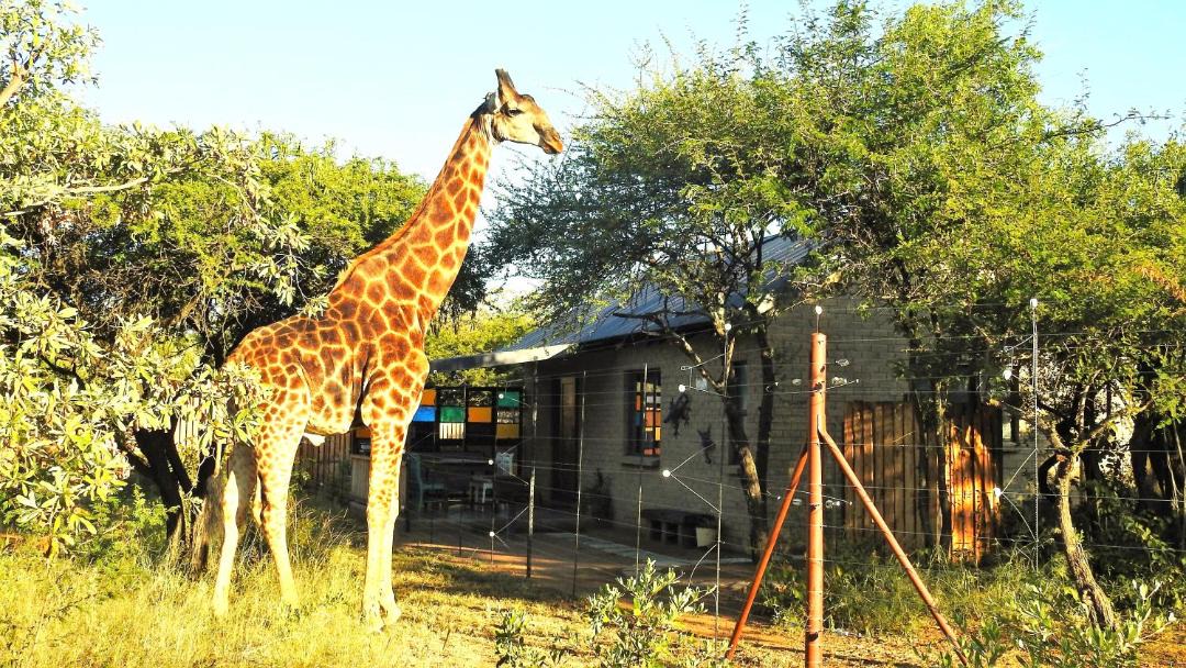 Photo of Others in Hammanskraal