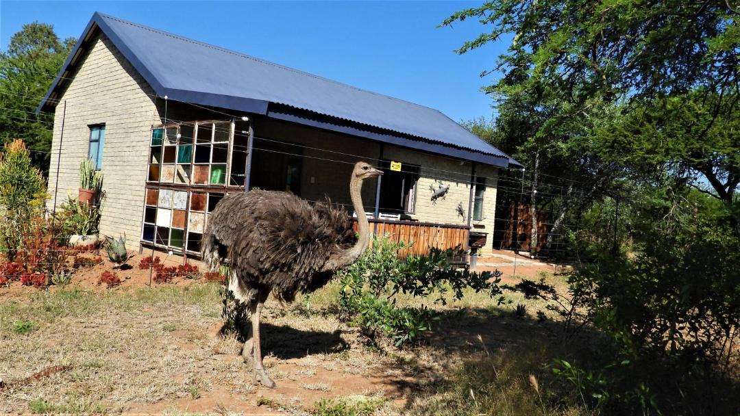 Photo of Others in Hammanskraal