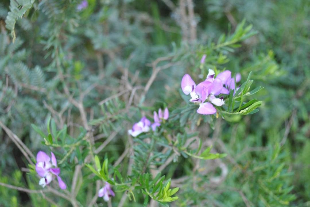 Photo of Outdoor in Herbertsdale