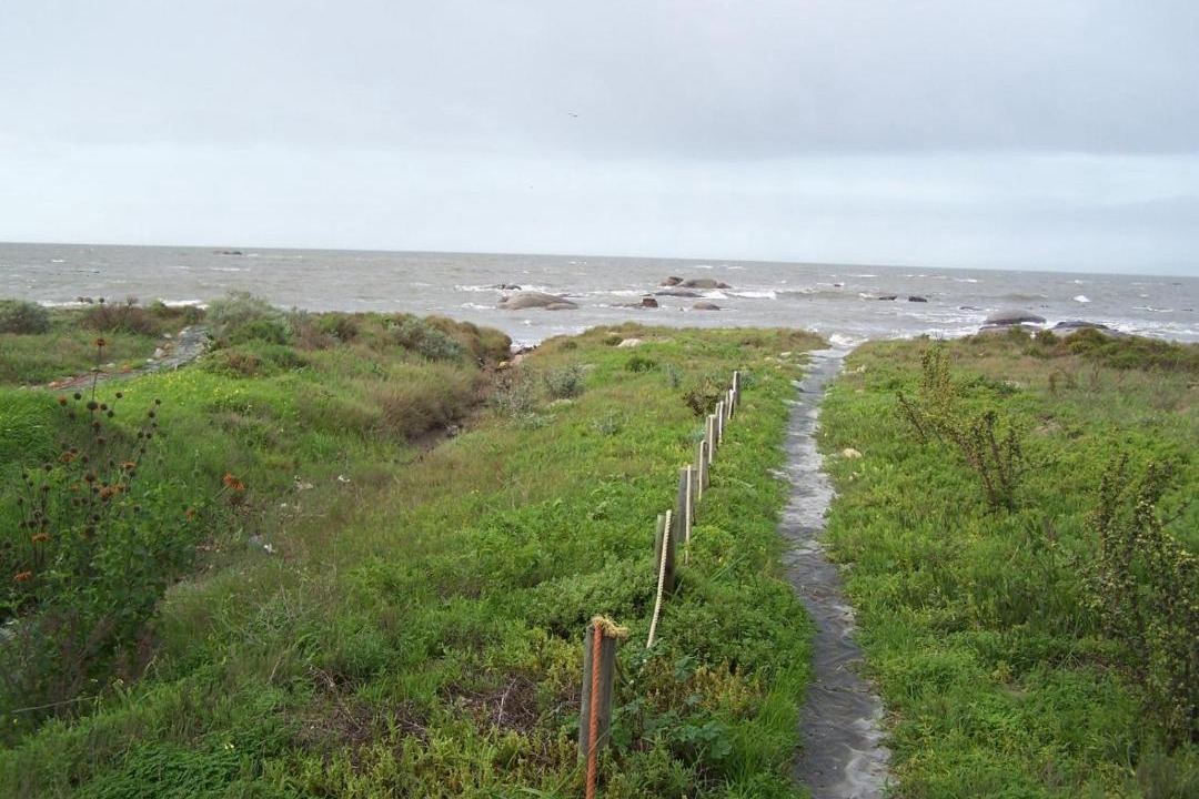 Photo of Others in St. Helena Bay