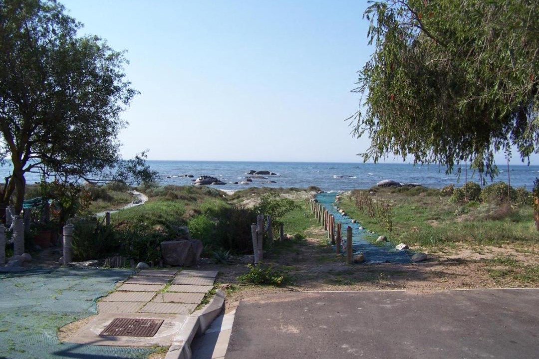 Photo of Others in St. Helena Bay