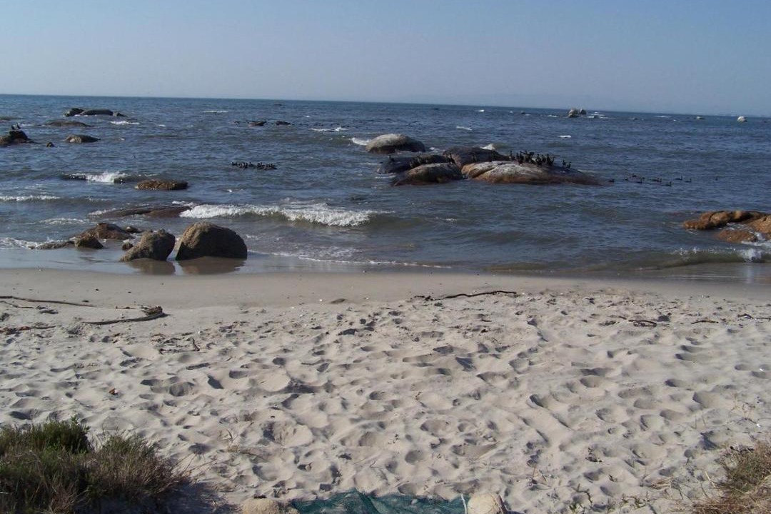 Photo of Others in St. Helena Bay