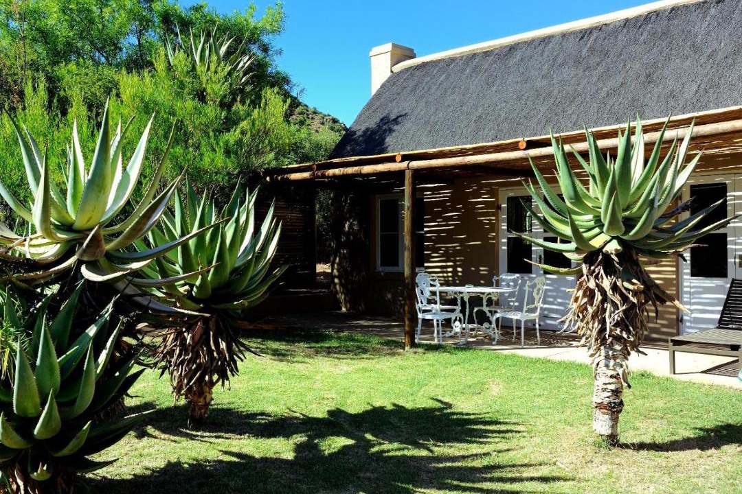 Photo of Others in Ladismith