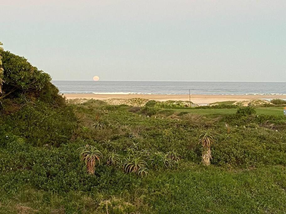 Photo of Others in Jeffreys Bay