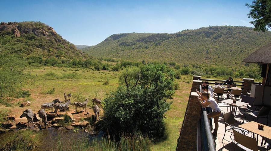 Photo of Others in Pilanesberg National Park