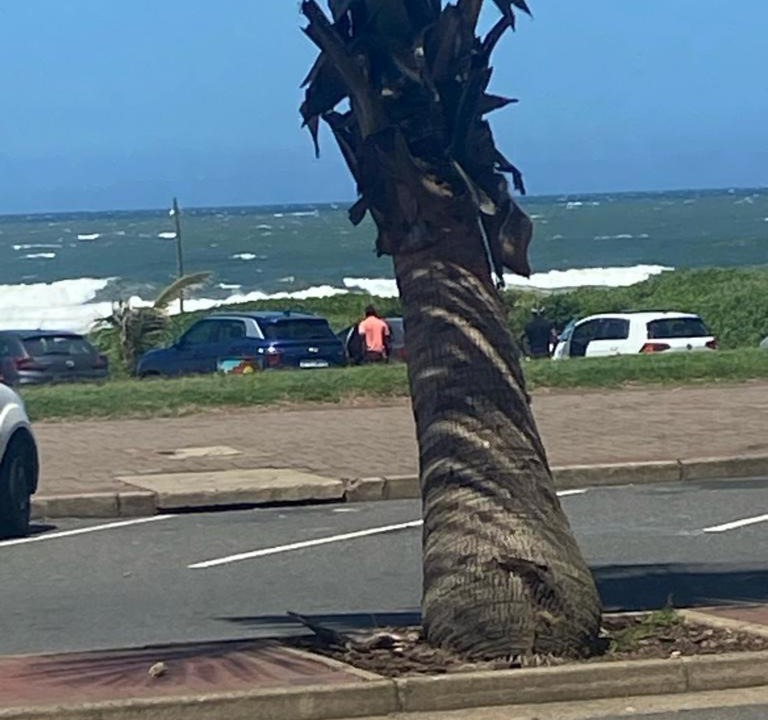 Photo of Others in Durban North